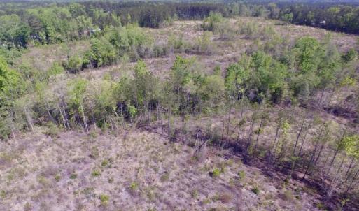 Photo #24 of SOLD property in Off Halifax Road, Lawrenceville, VA 53.3 acres