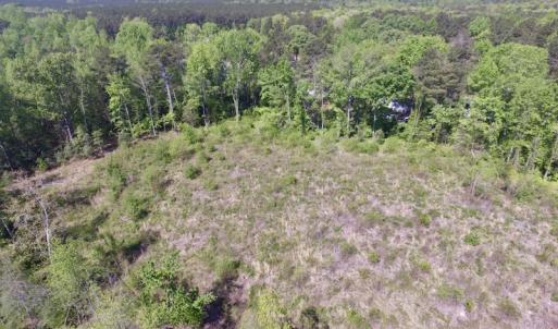 Photo #25 of SOLD property in Off Halifax Road, Lawrenceville, VA 53.3 acres