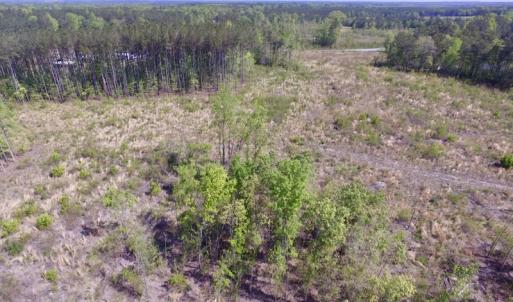 Photo #26 of SOLD property in Off Halifax Road, Lawrenceville, VA 53.3 acres