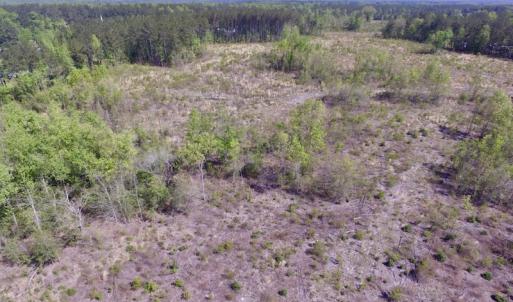 Photo #27 of SOLD property in Off Halifax Road, Lawrenceville, VA 53.3 acres