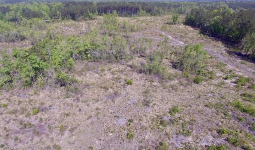 Photo #28 of SOLD property in Off Halifax Road, Lawrenceville, VA 53.3 acres