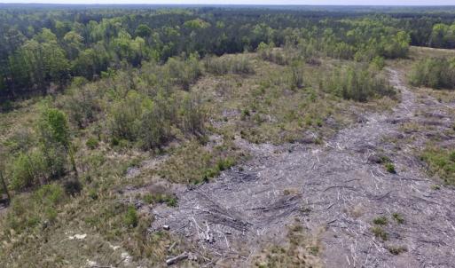 Photo #29 of SOLD property in Off Halifax Road, Lawrenceville, VA 53.3 acres