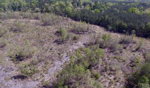 Photo #31 of SOLD property in Off Halifax Road, Lawrenceville, VA 53.3 acres