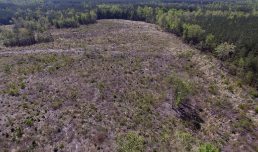 Photo #32 of SOLD property in Off Halifax Road, Lawrenceville, VA 53.3 acres