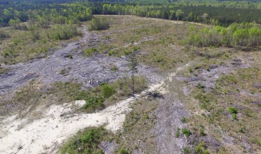 Photo #33 of SOLD property in Off Halifax Road, Lawrenceville, VA 53.3 acres