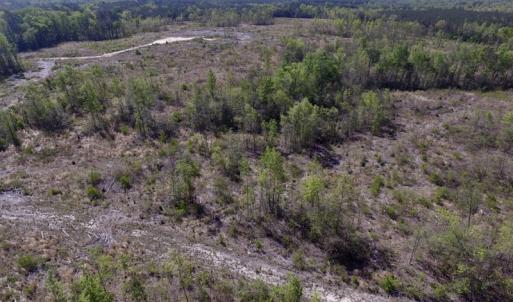 Photo #36 of SOLD property in Off Halifax Road, Lawrenceville, VA 53.3 acres