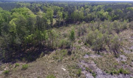 Photo #37 of SOLD property in Off Halifax Road, Lawrenceville, VA 53.3 acres