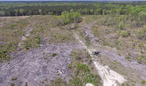 Photo #38 of SOLD property in Off Halifax Road, Lawrenceville, VA 53.3 acres