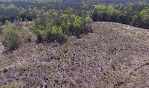Photo #39 of SOLD property in Off Halifax Road, Lawrenceville, VA 53.3 acres