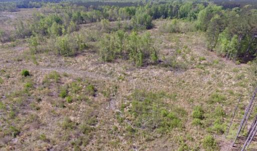 Photo #41 of SOLD property in Off Halifax Road, Lawrenceville, VA 53.3 acres