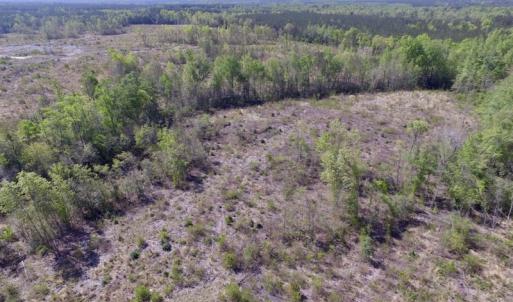Photo #42 of SOLD property in Off Halifax Road, Lawrenceville, VA 53.3 acres