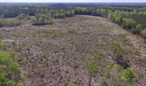 Photo #43 of SOLD property in Off Halifax Road, Lawrenceville, VA 53.3 acres