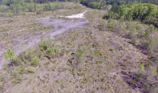 Photo #44 of SOLD property in Off Halifax Road, Lawrenceville, VA 53.3 acres