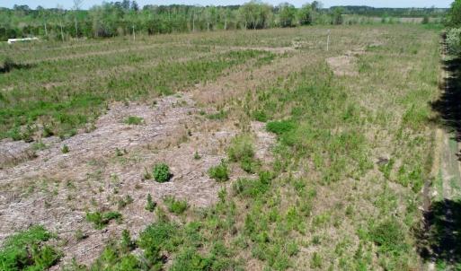 Photo #7 of SOLD property in Off Middle Swamp Rd, Gates, NC 25.4 acres