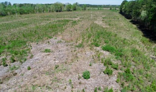 Photo #8 of SOLD property in Off Middle Swamp Rd, Gates, NC 25.4 acres