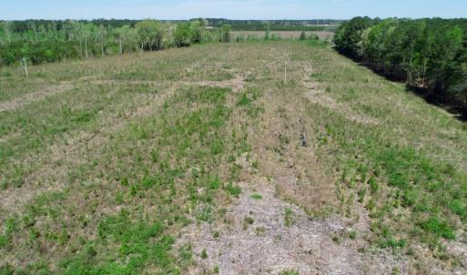 Photo #9 of SOLD property in Off Middle Swamp Rd, Gates, NC 25.4 acres
