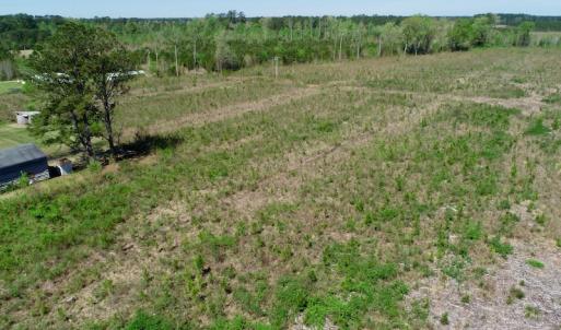 Photo #10 of SOLD property in Off Middle Swamp Rd, Gates, NC 25.4 acres