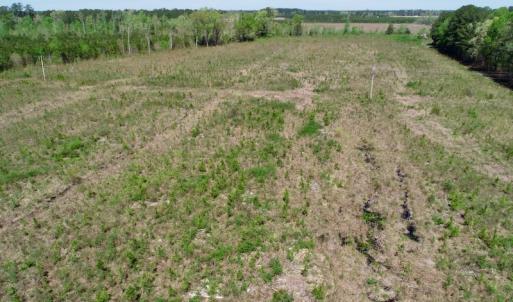 Photo #11 of SOLD property in Off Middle Swamp Rd, Gates, NC 25.4 acres