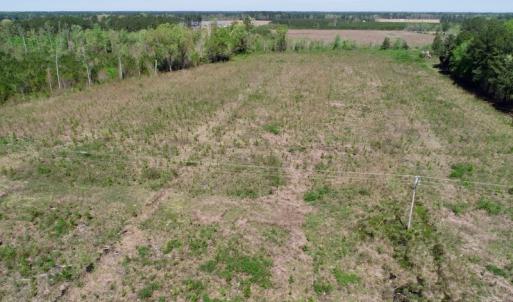 Photo #12 of SOLD property in Off Middle Swamp Rd, Gates, NC 25.4 acres