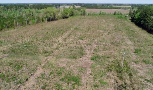 Photo #12 of SOLD property in Off Middle Swamp Rd, Gates, NC 25.4 acres