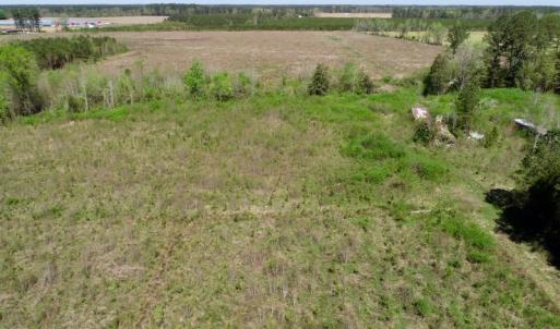 Photo #16 of SOLD property in Off Middle Swamp Rd, Gates, NC 25.4 acres