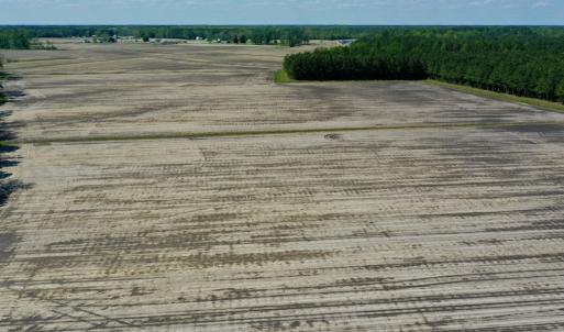 Photo #3 of Off Hwy 43, Vanceboro, NC 25.5 acres