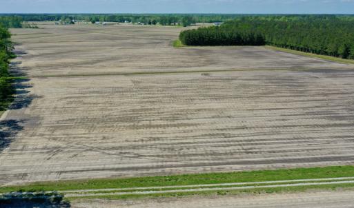 Photo #4 of Off Hwy 43, Vanceboro, NC 25.5 acres