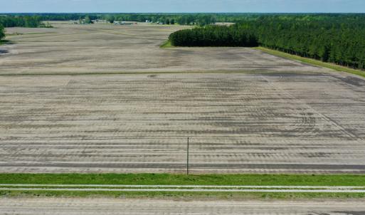 Photo #5 of Off Hwy 43, Vanceboro, NC 25.5 acres