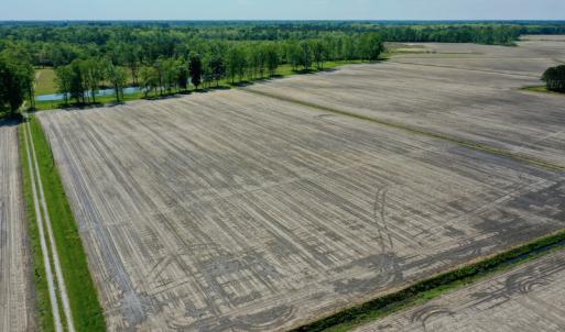 Photo #7 of Off Hwy 43, Vanceboro, NC 25.5 acres
