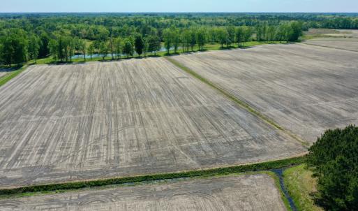 Photo #8 of Off Hwy 43, Vanceboro, NC 25.5 acres