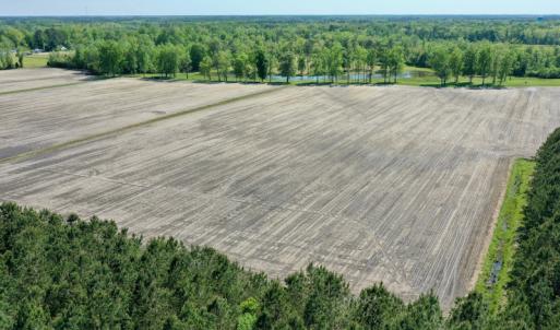 Photo #10 of Off Hwy 43, Vanceboro, NC 25.5 acres