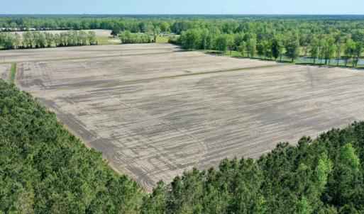 Photo #11 of Off Hwy 43, Vanceboro, NC 25.5 acres