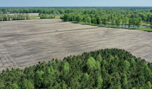 Photo #12 of Off Hwy 43, Vanceboro, NC 25.5 acres