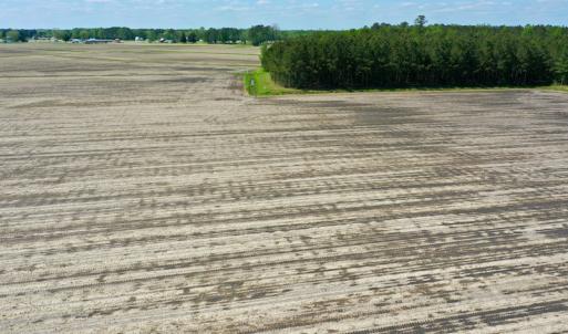 Photo #13 of Off Hwy 43, Vanceboro, NC 25.5 acres