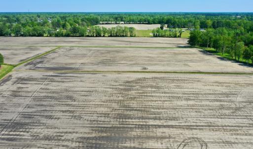 Photo #14 of Off Hwy 43, Vanceboro, NC 25.5 acres