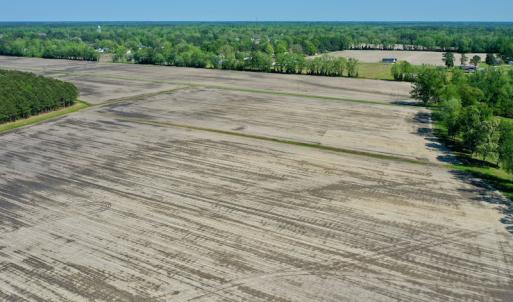 Photo #15 of Off Hwy 43, Vanceboro, NC 25.5 acres