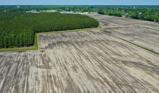 Photo #16 of Off Hwy 43, Vanceboro, NC 25.5 acres