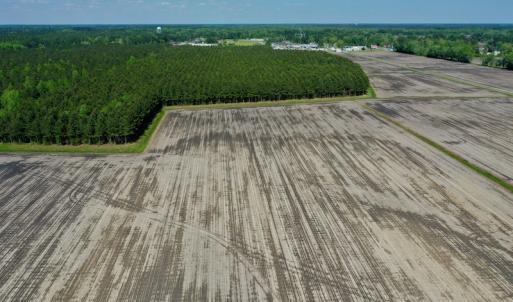 Photo #17 of Off Hwy 43, Vanceboro, NC 25.5 acres