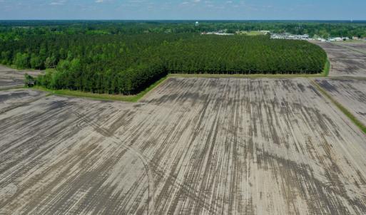 Photo #18 of Off Hwy 43, Vanceboro, NC 25.5 acres