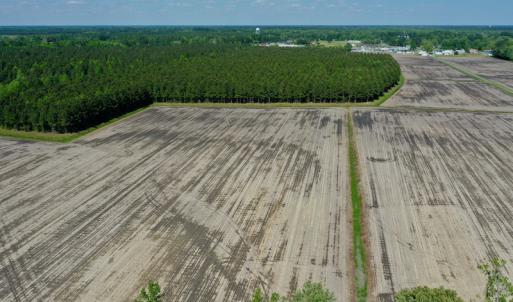 Photo #19 of Off Hwy 43, Vanceboro, NC 25.5 acres
