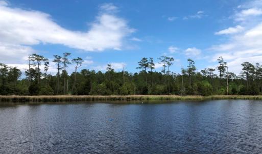 Photo #25 of SOLD property in 2731 Florence Road, Merritt, NC 6.8 acres