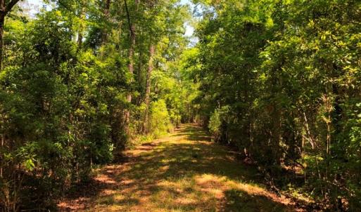 Photo #35 of SOLD property in 2731 Florence Road, Merritt, NC 6.8 acres