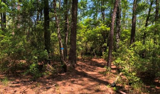 Photo #36 of SOLD property in 2731 Florence Road, Merritt, NC 6.8 acres