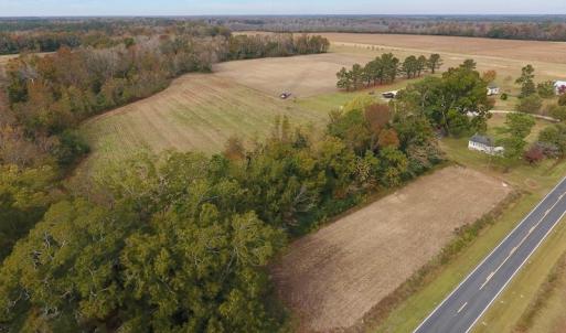 Photo #4 of SOLD property in Off Biddle Road, Dover, NC 13.9 acres