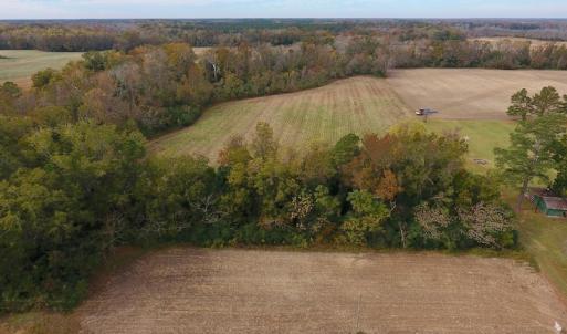 Photo #5 of SOLD property in Off Biddle Road, Dover, NC 13.9 acres