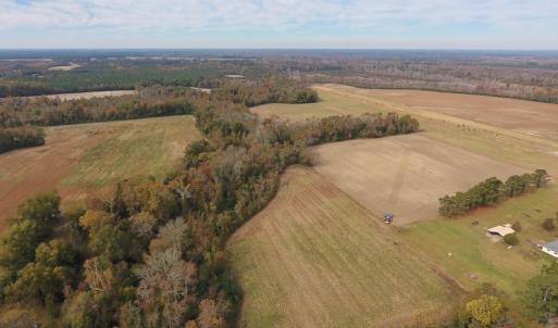 Photo #8 of SOLD property in Off Biddle Road, Dover, NC 13.9 acres
