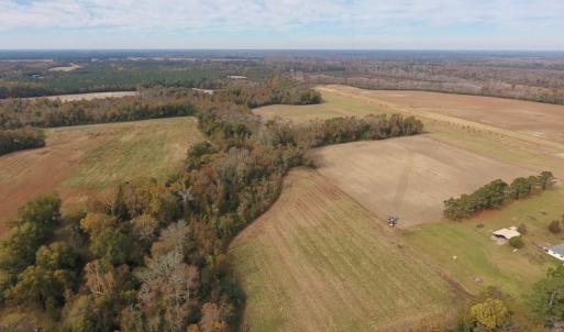 Photo #8 of SOLD property in Off Biddle Road, Dover, NC 13.9 acres
