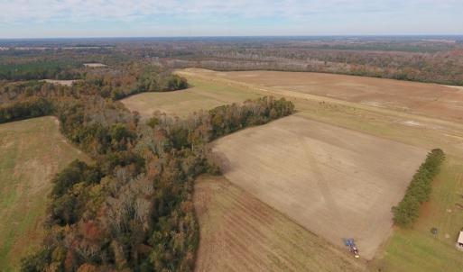 Photo #9 of SOLD property in Off Biddle Road, Dover, NC 13.9 acres
