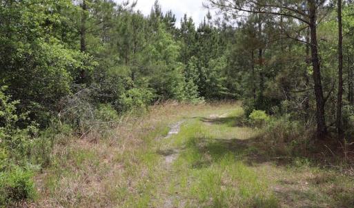 Photo #10 of SOLD property in Off Rosindale Road, Council, NC 32.7 acres