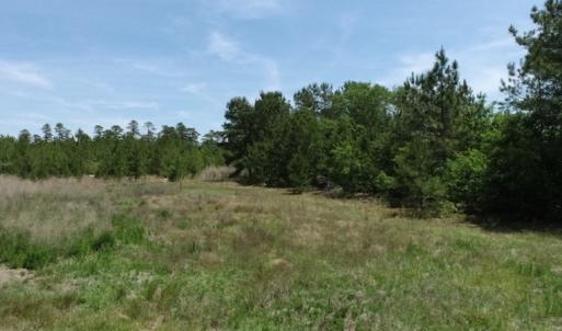 Photo #14 of SOLD property in Off Rosindale Road, Council, NC 32.7 acres